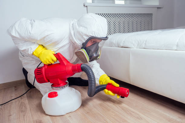 Professional Pest Control in Beverly Hills, FL